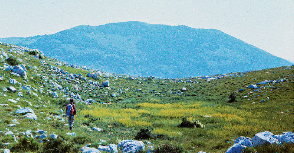 Uzvišenje Tremzina pod čijim su zapadnim padinama u udolini Vučjak pronađene divovske kosti (Foto: Hrvoje Zrnčić, 1984.; ”Hrvatski planinar”, broj 11 iz 2009.)