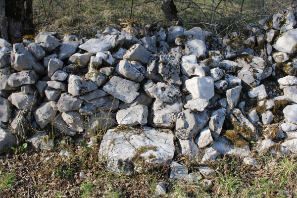 U suhozidu koji je nekoć okruživao crkveno groblje u Velikom Čanku može se zapaziti i nekolicina krupnijih ulomaka pravilno klesanih ploča, nepoznate izvorne namjene (Foto: Goran Majetić)