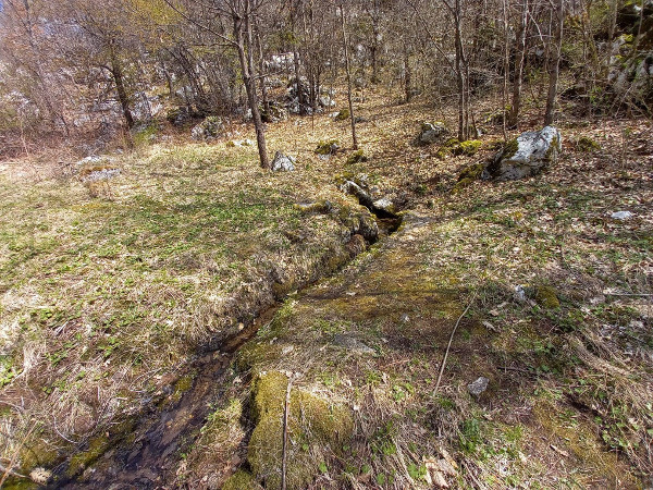 Izvor Grabovčić.