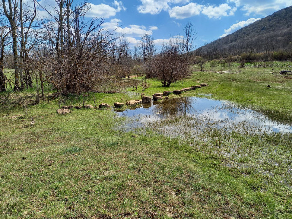 Kameni prijelaz u selu Gornja Ploča.