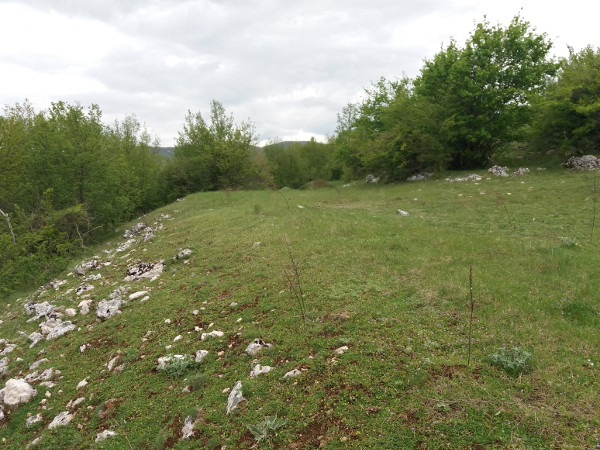 Brunšmid je prije 120 godina vidio 8 terasa. Ja sam ih primjetio 3-4. Ova terasa je najbolje očuvana.