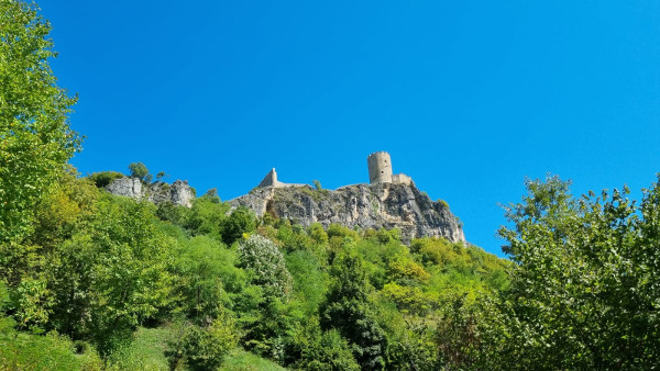 (Foto: Tomislav Beronić)