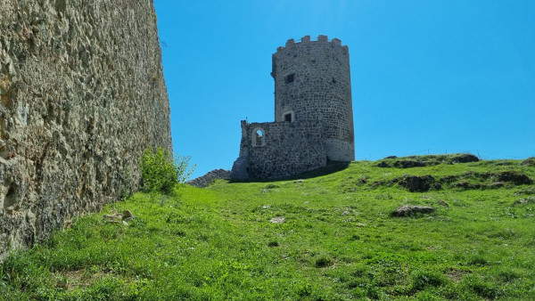 (Foto: Tomislav Beronić)
