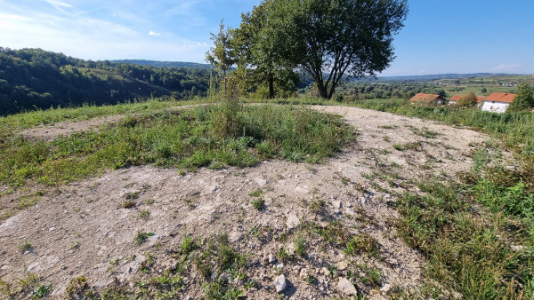 (Foto: Tomislav Beronić)