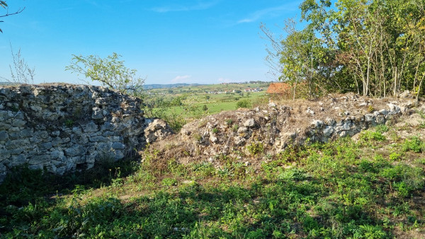 (Foto: Tomislav Beronić)
