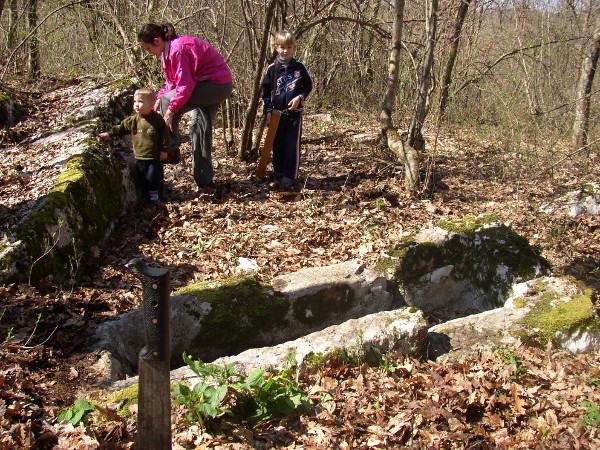Omanji sanduk ("raka") na brdu Kestenak kraj istoimenog zaseoka nedaleko Siče (Foto: Goran Majetić, 2008.)