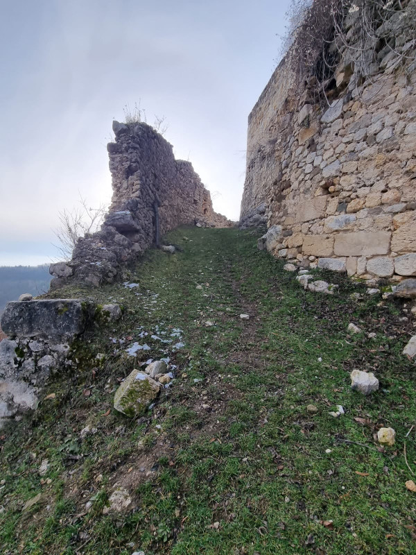 (Foto: Tomislav Beronić)