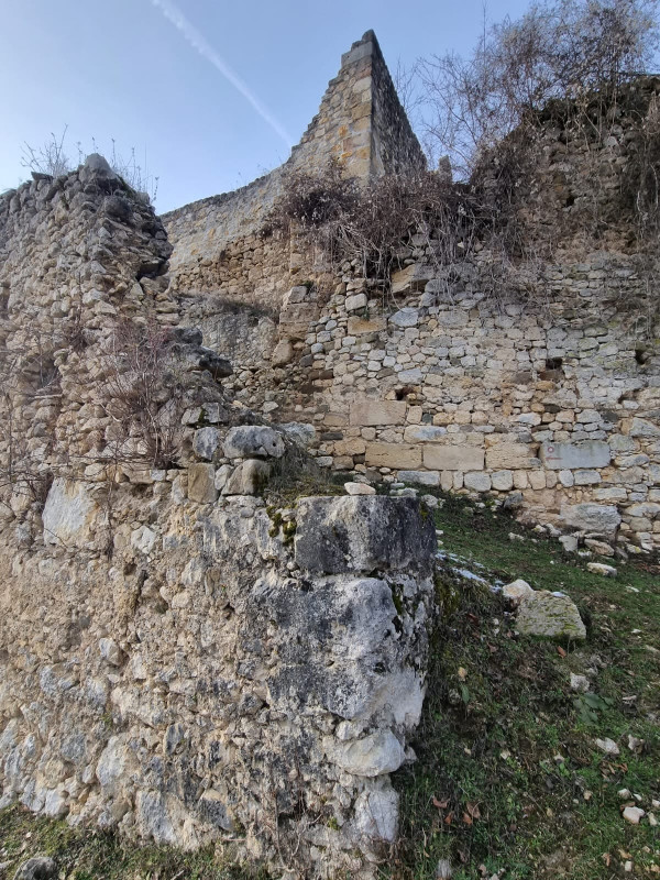 (Foto:Tomislav Beronić)