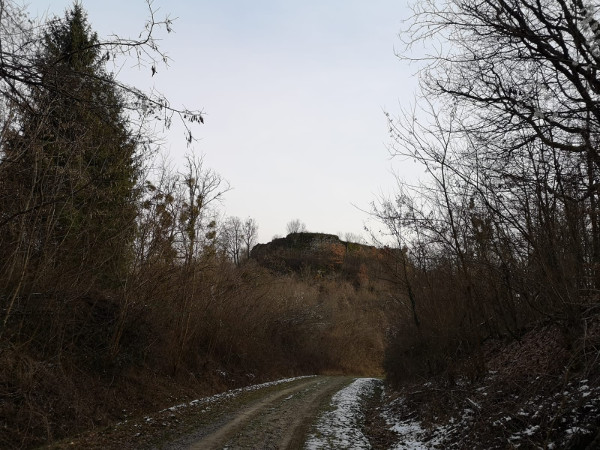 (Foto:Tomislav Beronić)