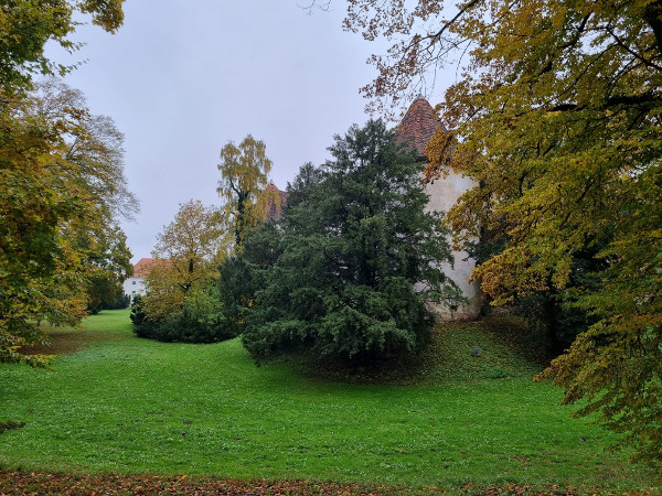 (Foto: Tomislav Beronić)
