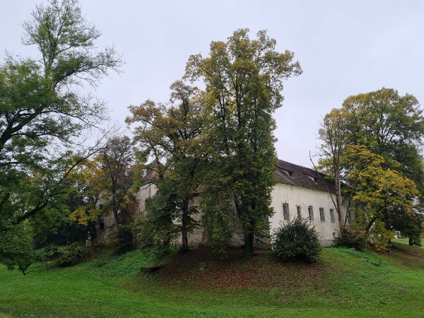 (Foto: Tomislav Beronić)