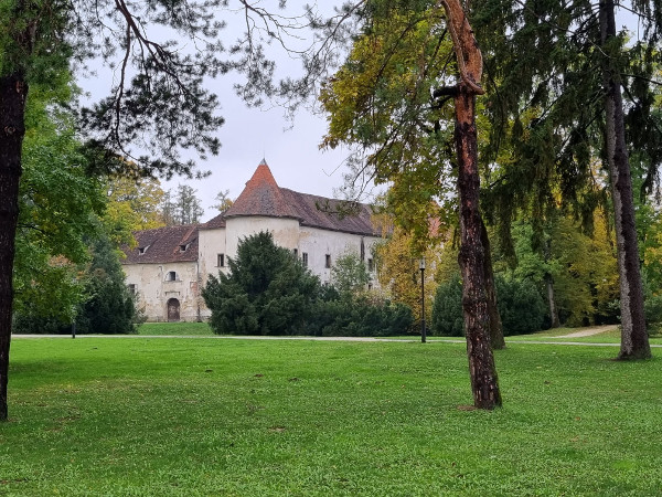 (Foto: Tomislav Beronić)