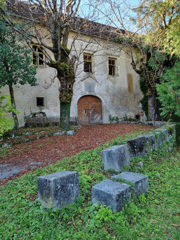 (Foto: Tomislav Beronić)