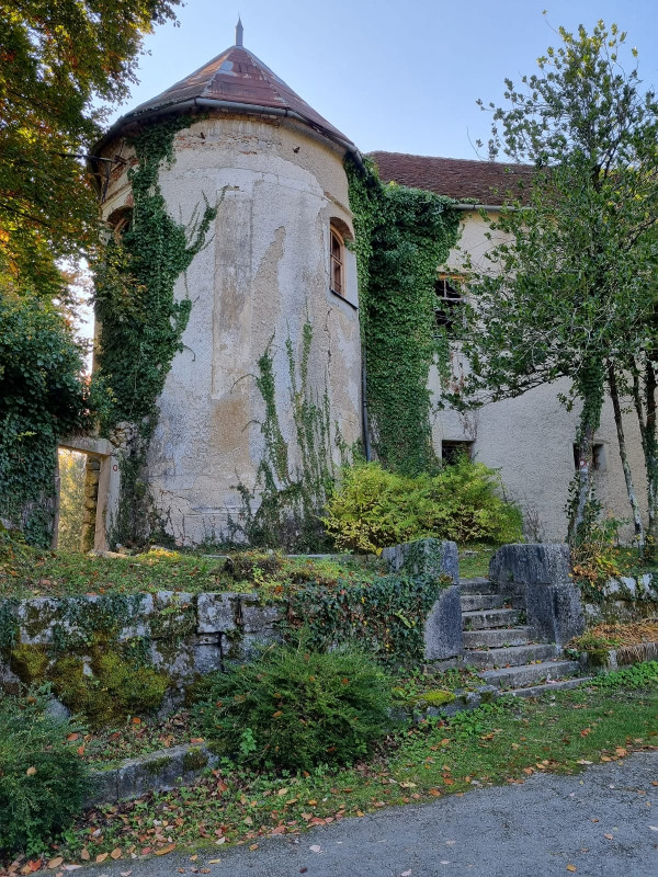 (Foto: Tomislav Beronić)