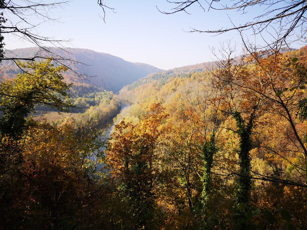 (Foto: Tomislav Beronić)