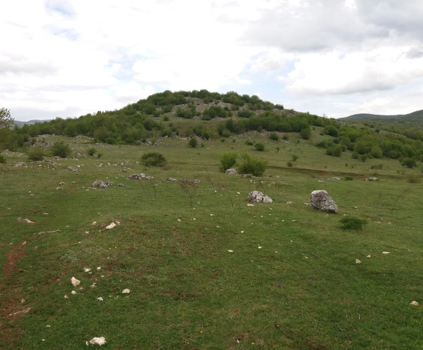 Brijeg Stražbenica oblika stepenaste piramide na čijim terasama su obitavali Japodi (Foto: Faruk Islamović)