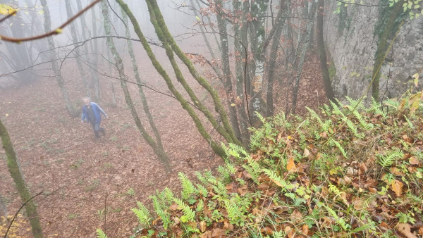 Pogled s velike jugoistočne kule na južni opkop (Foto: Tomislav Beronić)