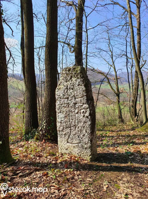 Stećak s nekropole Svatovsko groblje nedaleko sela Štrepci (Foto: Ahmet Sinanagić, 2021.; Izvor: Interaktivna karta stećaka Stecak.map (stecakmap.info))