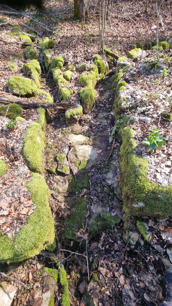 Jarci kojima se slijevaju potočići, čineći jedinstveno vrelo Vremenjak, pomno su obzidani suhozidima (Foto: Tomislav Beronić)