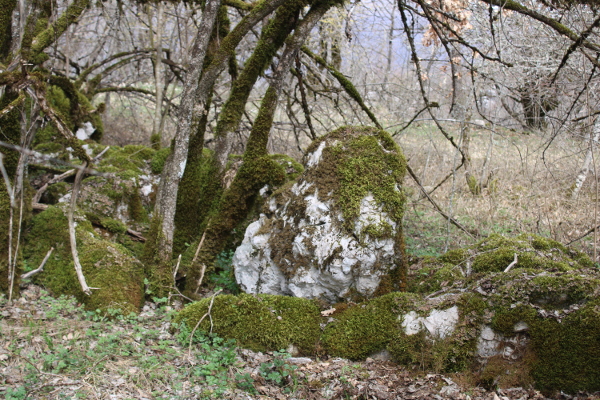 Mogući ostaci (suho)zida neke od građevina Banj Dvora na sjevernom dijelu vršne zaravni (Foto: Goran Majetić)