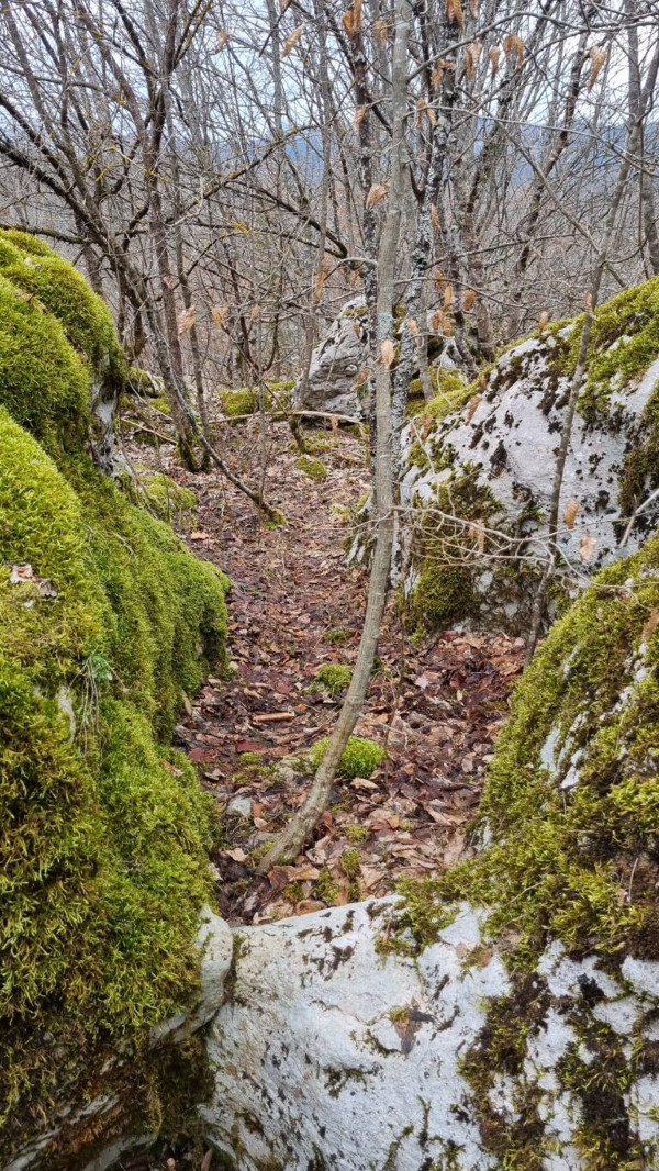 Jedan od starih puteva oko zaseoka Ribnik (Foto: Tomislav Beronić)