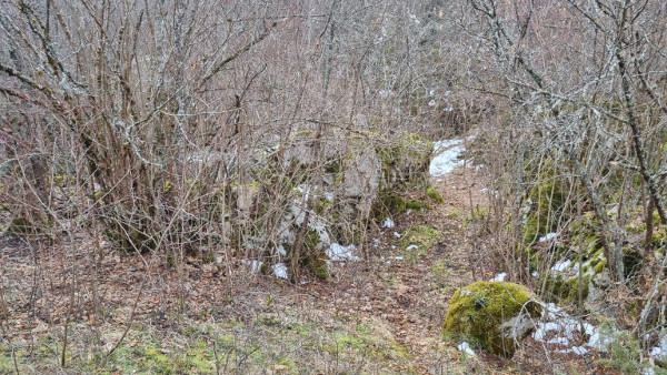 Rijetki ostaci gradnje u podgrađu i cesta (ulica) koja vodi dalje prema kaštelu (Foto: Tomislav Beronić)