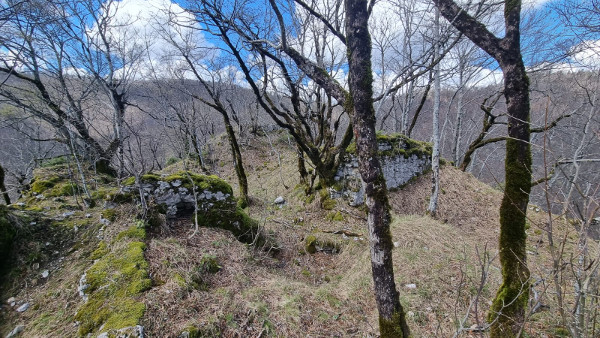 Još uvijek se naziru zidovi prostorija sjeveroistočnog (stambenog) dijela utvrde (Foto: Tomislav Beronić)