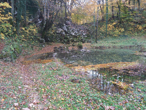 Izvor Rupećica (Foto: Faruk Islamović)