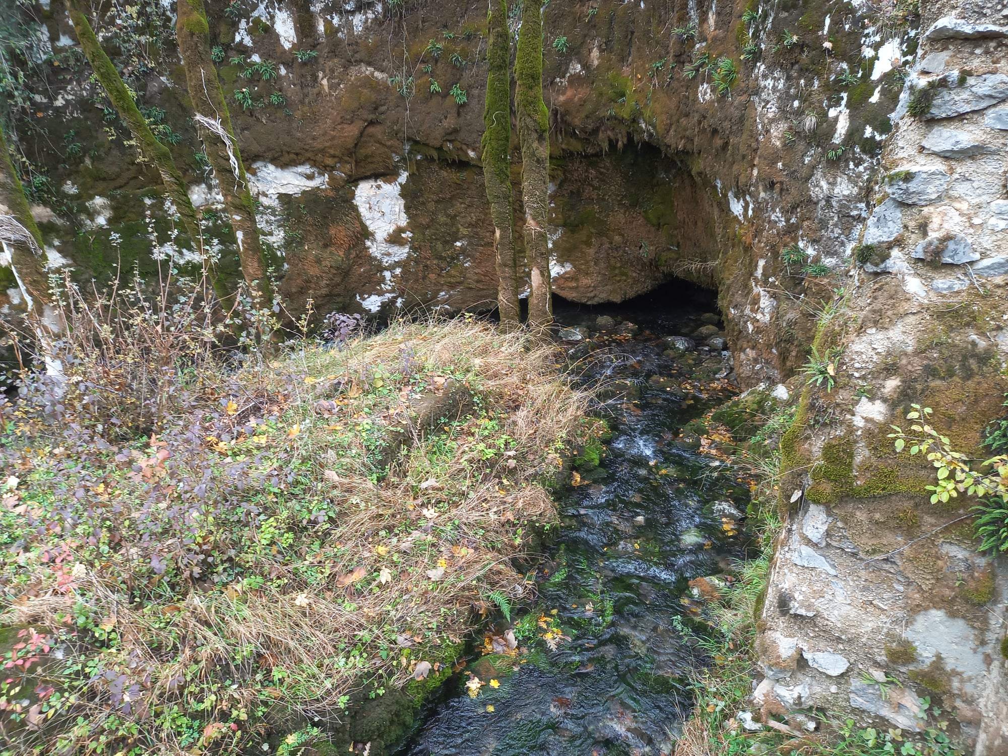 Ponor Rupećica (Foto: Faruk Islamović)