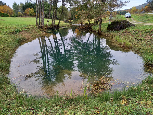 Izvor Bistrac (Foto: Faruk Islamović)
