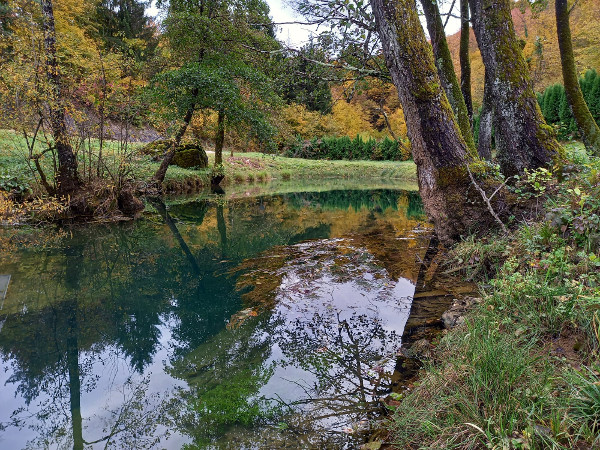 Puno jesenjih boja na izvoru Bistrac (Foto: Faruk Islamović)