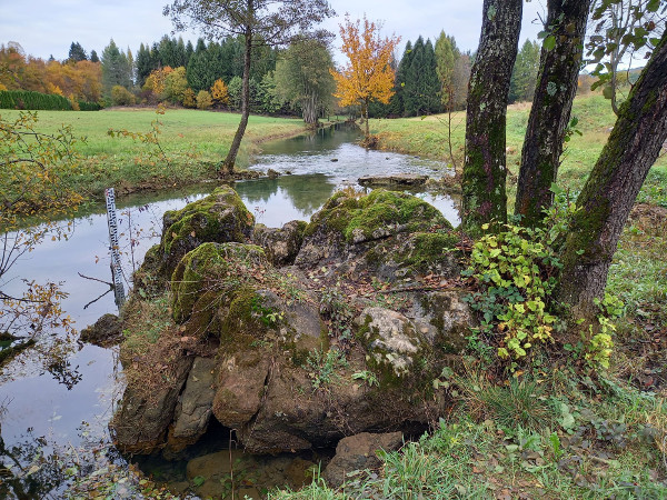 Još jedan neobičan kamen pored izvora Bistrac (Foto: Faruk Islamović)