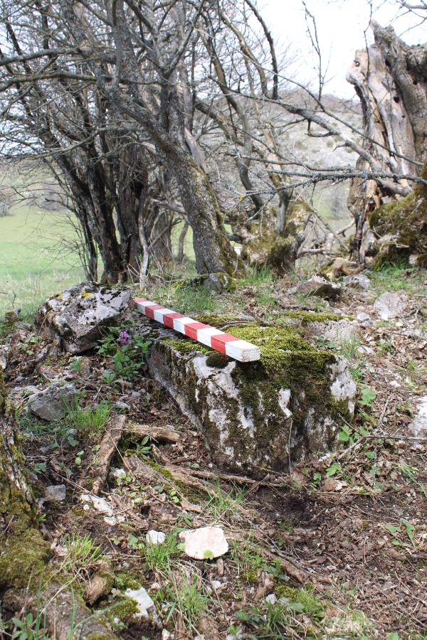 Temeljni ostaci sakralne građevine na Crkvini u Turjanskom; zid crkve pavlinskog samostana ili župne crkve? (Foto: Noa Majetić)