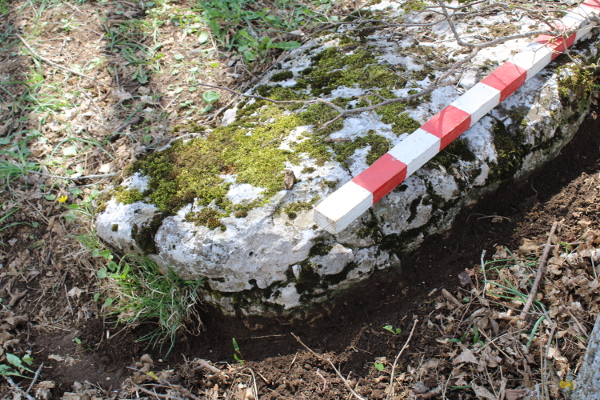 Velika vapnenačka ploča na turjanskoj Crkvini, dugačka 185 i široka 80 centimetara, ima odlike pločastog stećka (Foto: Noa Majetić)