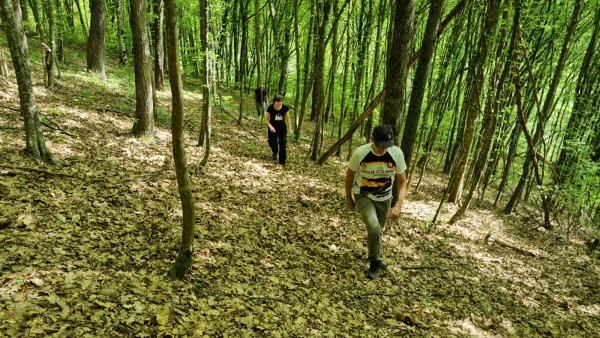 Uspon na Zimić nije zahtjevan i dijelom ide starom prilaznom cestom kroz šumu. (Foto: Tomislav Beronić)