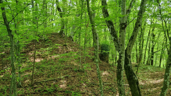 Zimić: ostaci zida utvrde - uzvisina lijevo je urušena branič kula, a sasvim desno se vidi mjesto ulaza i nasip vanjskog opkopa.(Foto: Tomislav Beronić)
