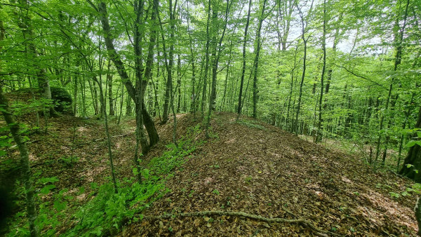 Zimić: obrambeni opkop i nasip. Lijevo se vidi ostatak zida utvrde, a desno (južna strana) položaj predgrađa. (Foto: Tomislav Beronić)