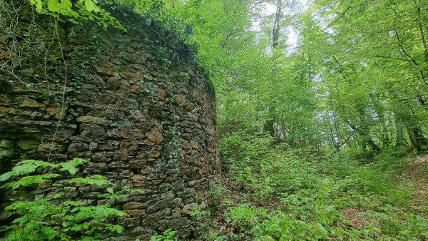 Zimić: zapadna okrugla kula i dio obrambenog opkopa i palisadnog nasipa (pogled prema jugu). (Foto: Tomislav Beronić)