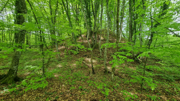 Zimić: pogled na kup branič kule s južnog nasipa, široki objektiv - s obje strane se vidi obrambeni opkop. (Foto: Tomislav Beronić)
