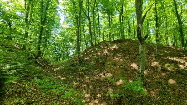 Mrsinj: Opkop i humak na kojemu je središnja prapovjesna gradina. (Foto: Tomislav Beronić)