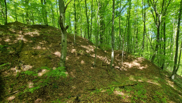 Mrsinj: južna strana srednje gradine - lijepo je vidljiv nasip i opkop. (Foto: Tomislav Beronić)