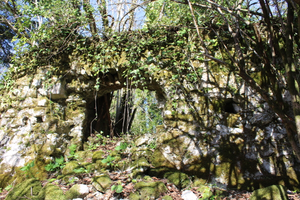 Ruševni ostaci pavinskog samostana i crkve Sveti Nikola u Gvozdu nedaleko Javorovice (Foto: Goran Majetić, 15. travnja 2022.)