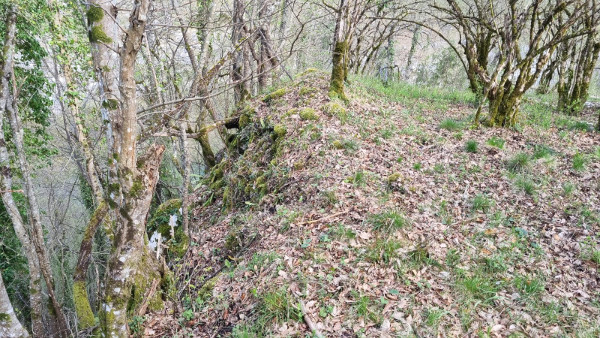 Ostaci obrambenih zidova sa sjeverne strane. (Foto: Tomislav Beronić)