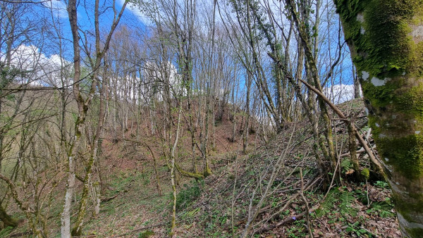 Glavica na kojoj se nalaze ostaci utvrde Ključ. Desno od glavice je obrambeni jarak dijelom izrađen i kopanjem. (Foto: Tomislav Beronić)