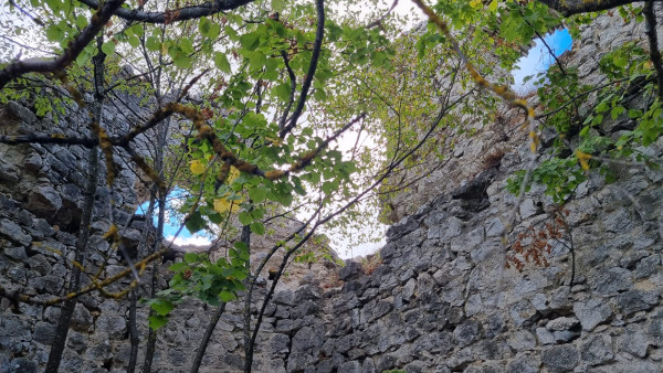 (Foto: Tomislav Beronić)
