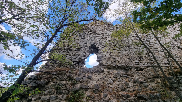 (Foto: Tomislav Beronić)