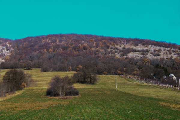 Položaj crkvine u selu Jošane podno brijega Čičibor (gornji šumarak u središtu fotografije); je li se uz tamošnju srednjovjekovnu crkvu nalazilo groblje sa stećcima? (Foto: Goran Majetić)