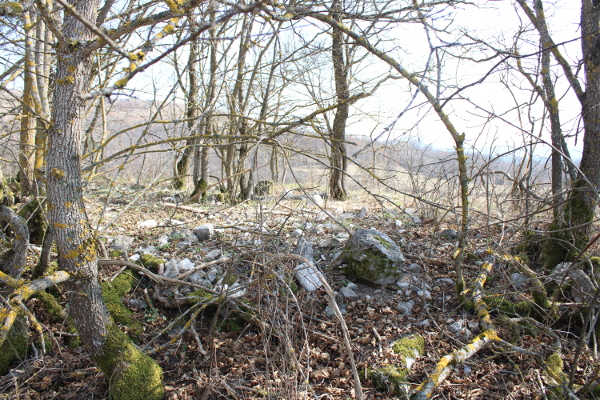Na crkvinu u malom hrastovom lugu u selu Jošane upućuje mnoštvo kamenih ulomaka zaostalih nakon rušenja srednjovjekovne crkve (Foto: Goran Majetić)