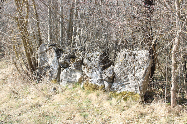 Na dionici jednog od suhozida sa sjeverne strane makadamskog puta, kojim se prilazi crkvi od državne ceste D1, nekoliko je uspravno osovljenih kamenih ploča visine i do jednog metra (Foto: Goran Majetić, 2022.)