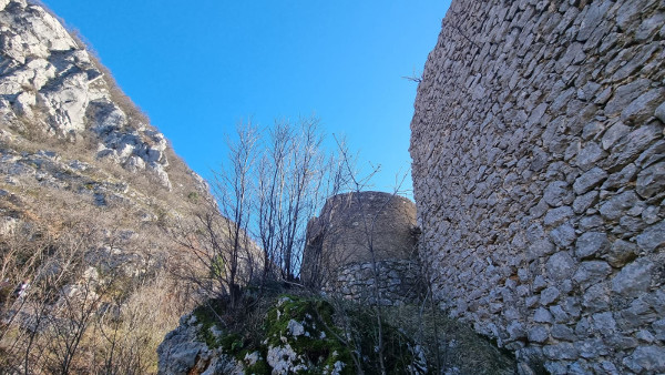 (Foto: Tomislav Beronić)